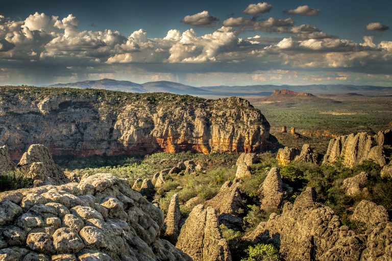 7 Parques Nacionais do Nordeste para Quem Quer Fugir da Praia